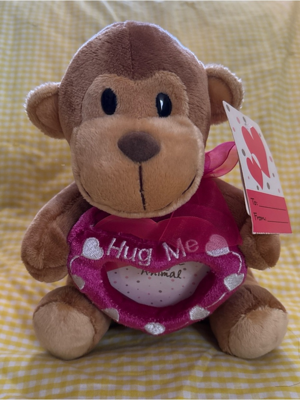 Plush Brown Monkey 'Hug Me' Stuffed Animal - Pink Heart Accessory pic frame - Picture 1 of 16